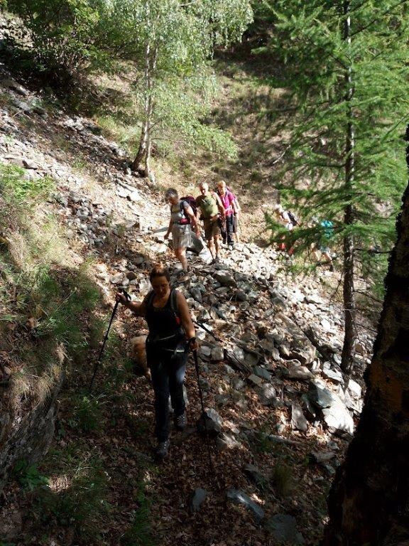 IMG_20220616_091925_0