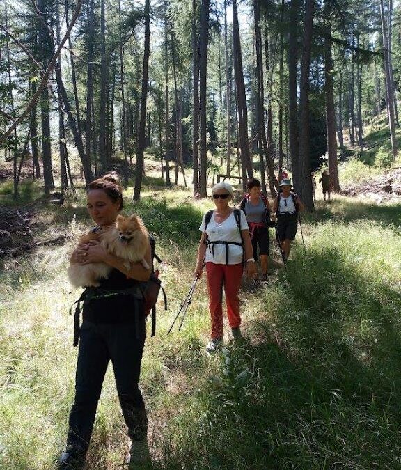 Forêt du Malbosc – Isola – Jeudi 16 Juin 2022