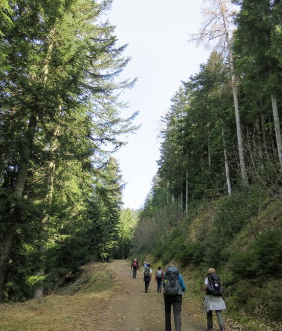 Turini– Crête de l&rsquo;Arpiha – Vendredi 24 Mars 2023