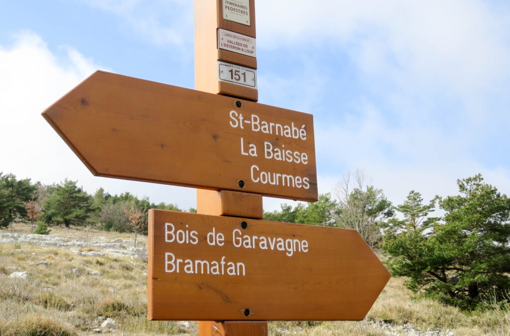 Plateau Saint Barnabé – Vendredi 15 Mars 2024