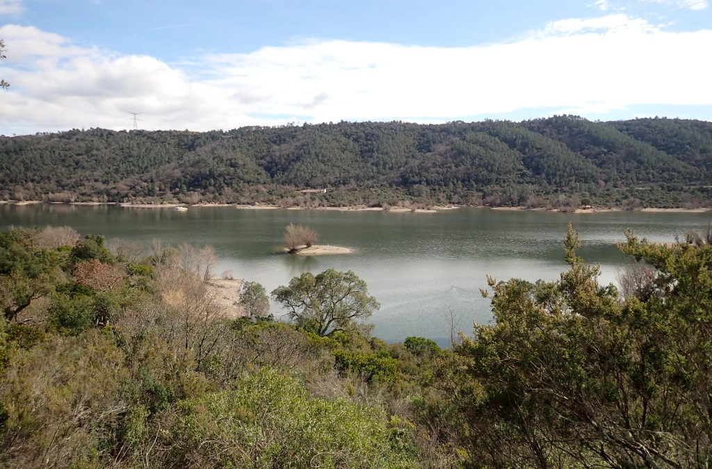 Lac de St Cassien – Réserve biologique de Fondurane      Dimanche 22 Février 2026