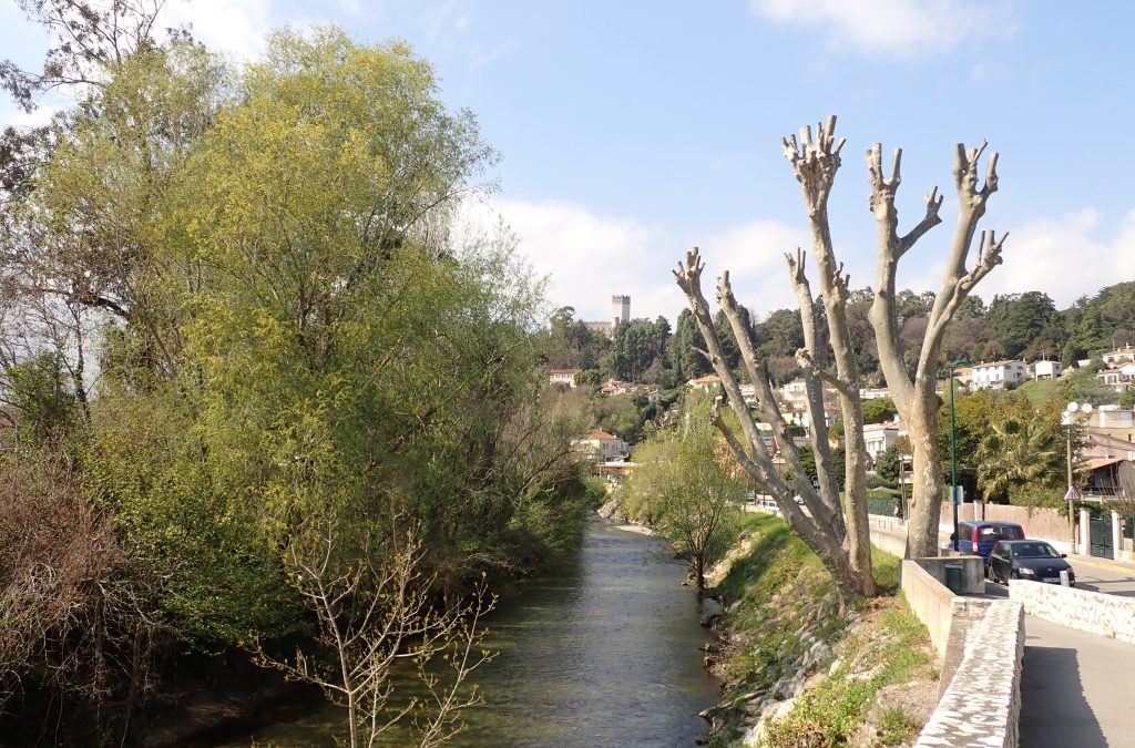 Rives du Loup – Vendredi 20 Mars 2026