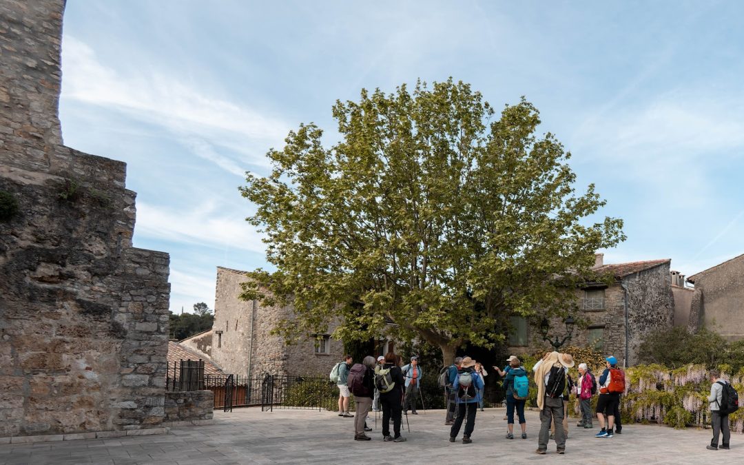 Chutes du Caramy – Carcès – Dimanche 19 Avril 2026