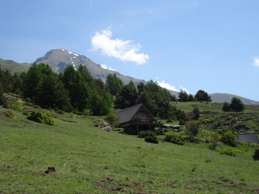 DSC04596